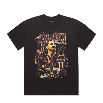 Zlatan Ibrahimović 2