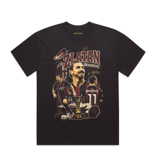 Zlatan Ibrahimović 2